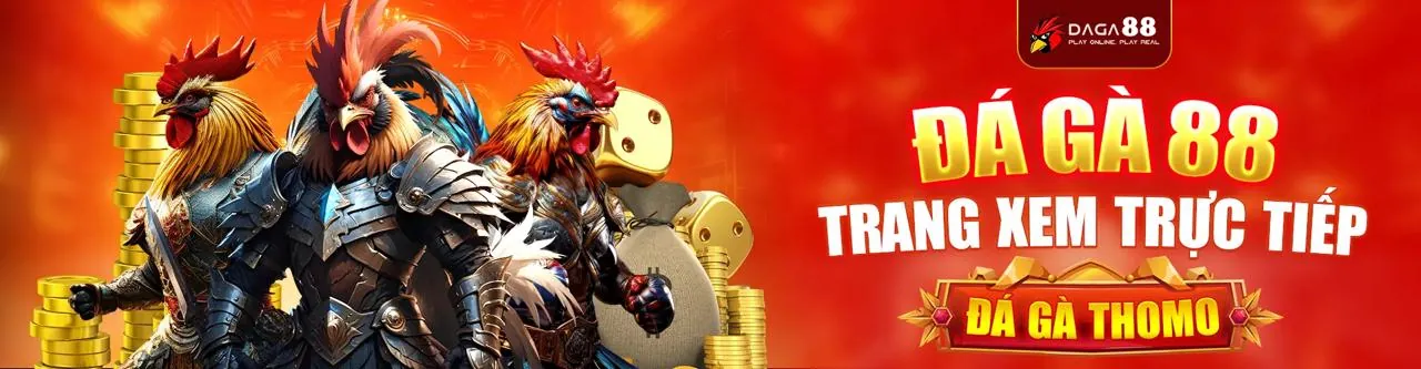 Hình ảnh nền điều khoản dịch vụ i5bet